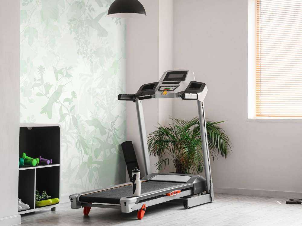 Symphonie de jardin en vert