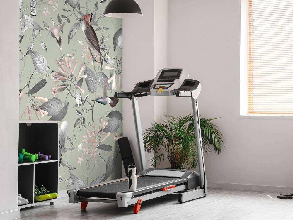 Tescoma Bird Paradise - Gris cendré