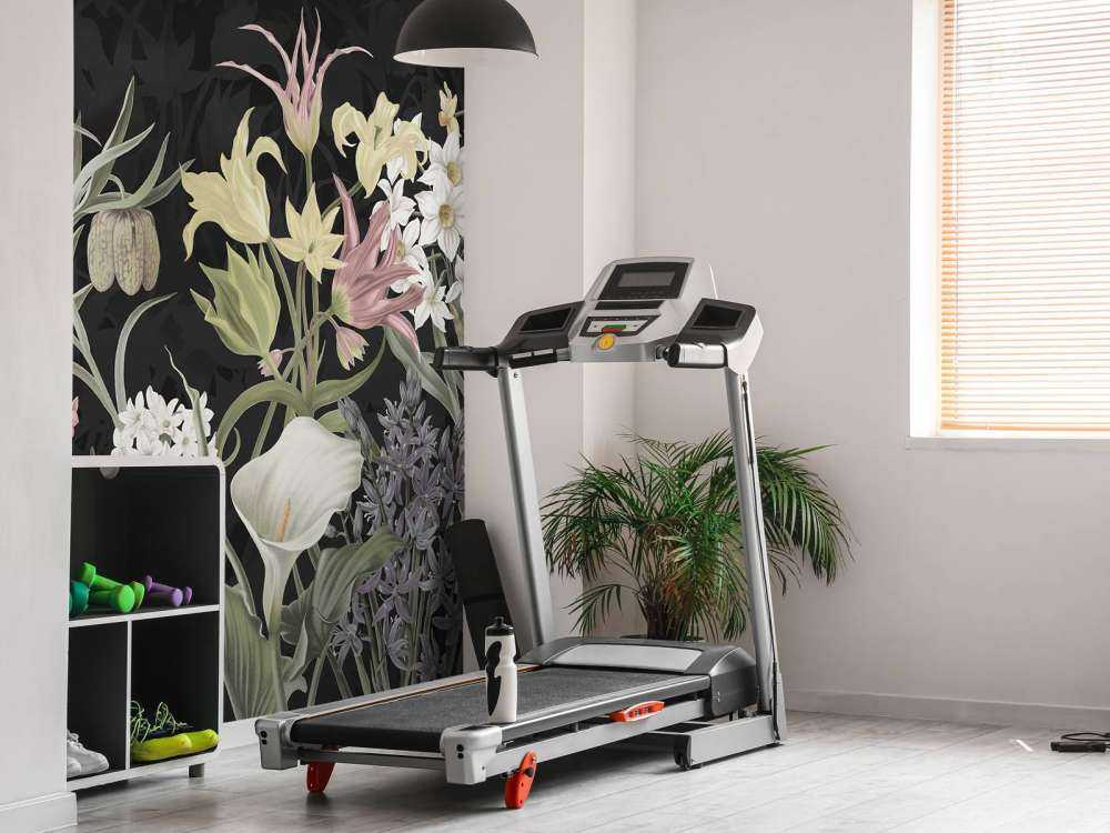 Fleurs de printemps - Éclosion de minuit