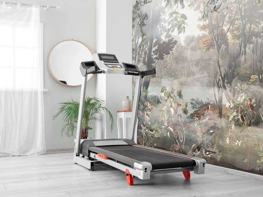 Oiseaux de la forêt mystique