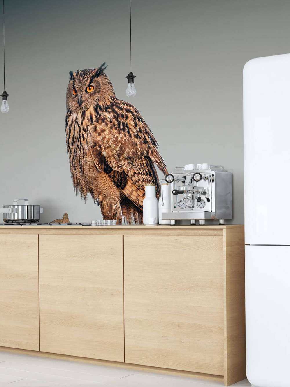 Hibou grand-duc