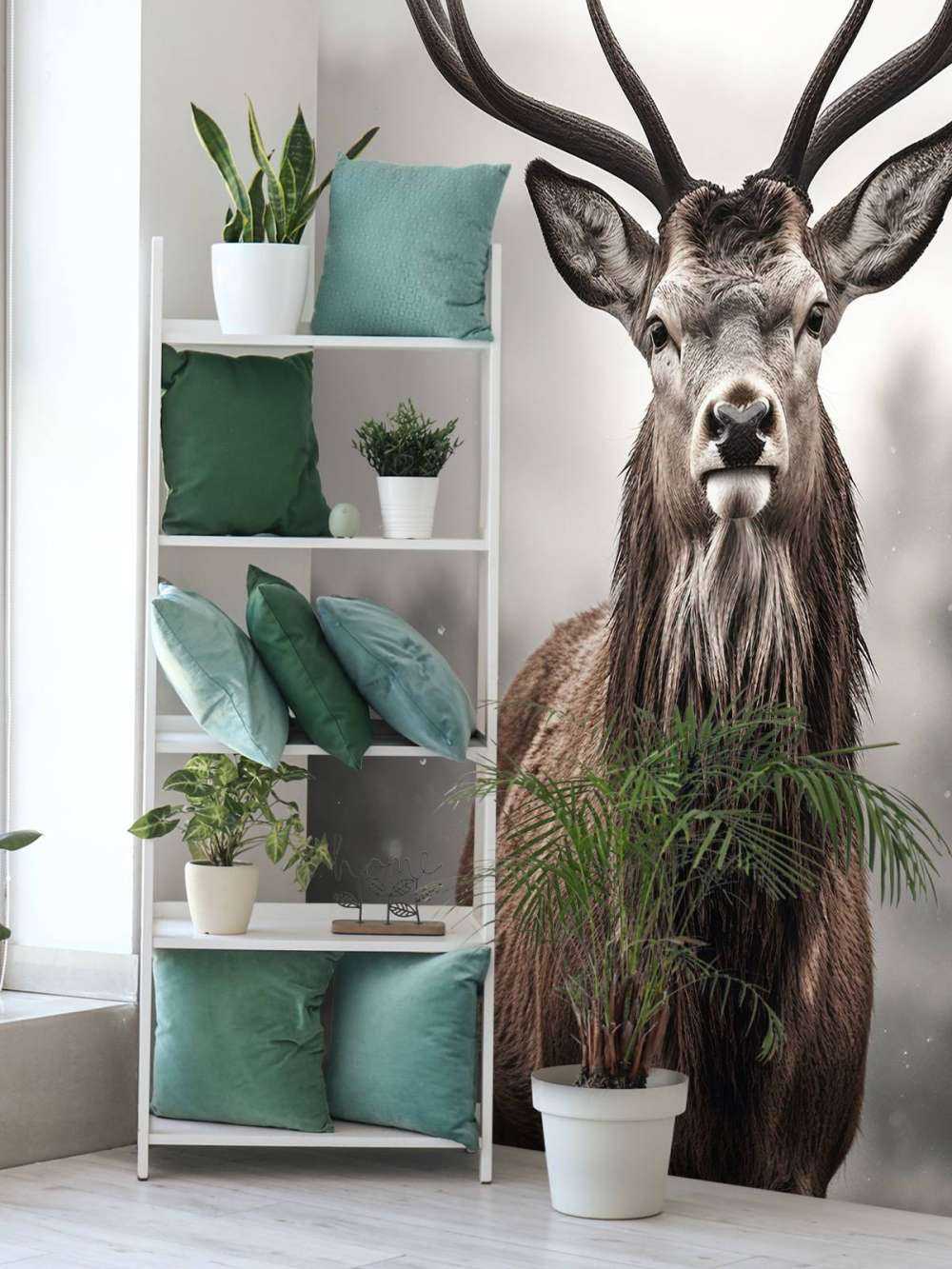 Le roi de l'hiver Le regard du cerf