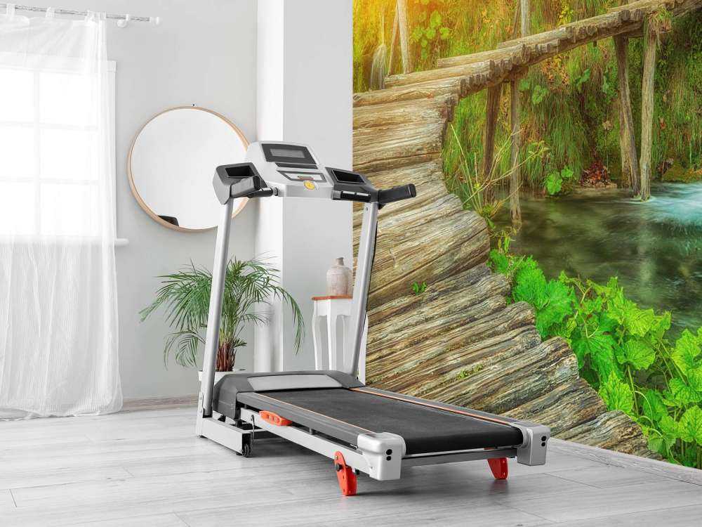 Pont en bois avec lumière du soleil