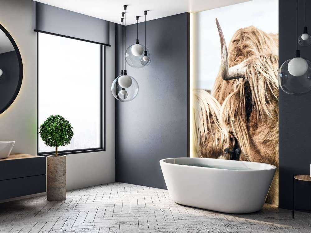 Deux Highlands écossais