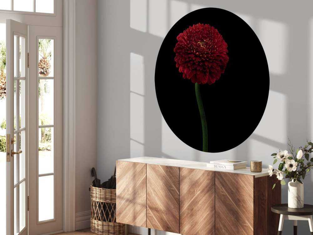 Fleur rouge sur la tige