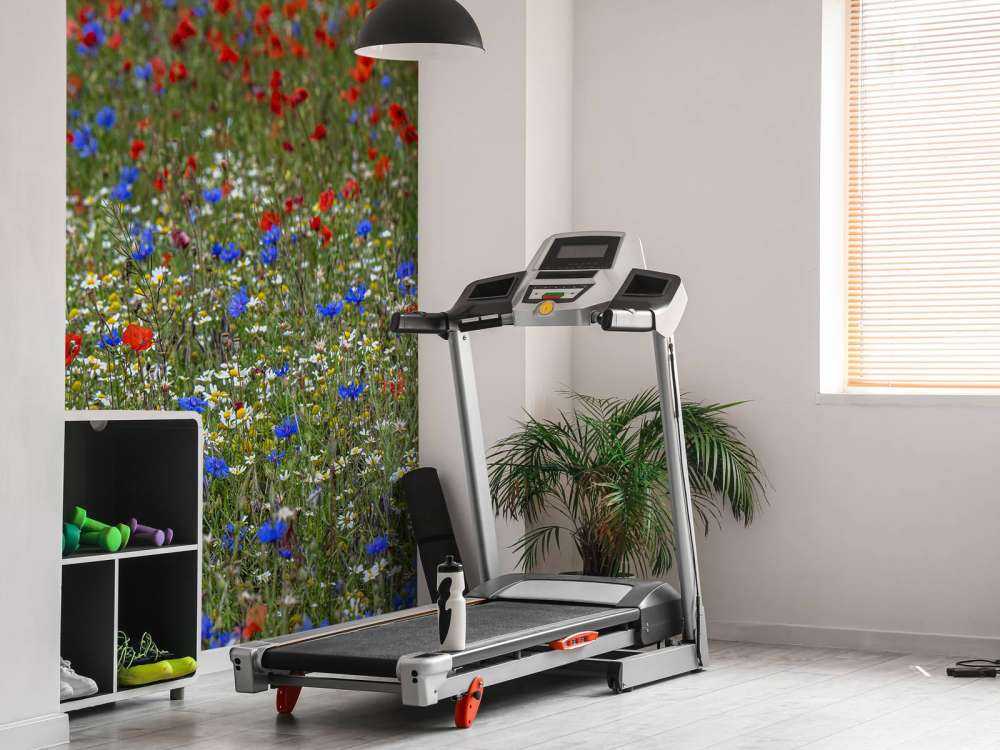 Champ plein de coquelicots