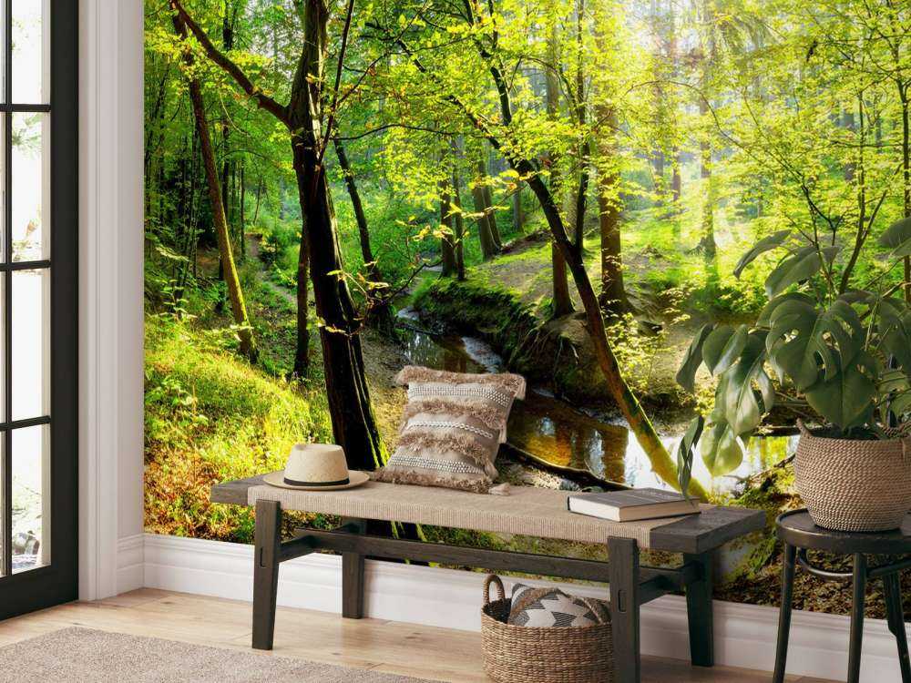 Forêt avec un ruisseau