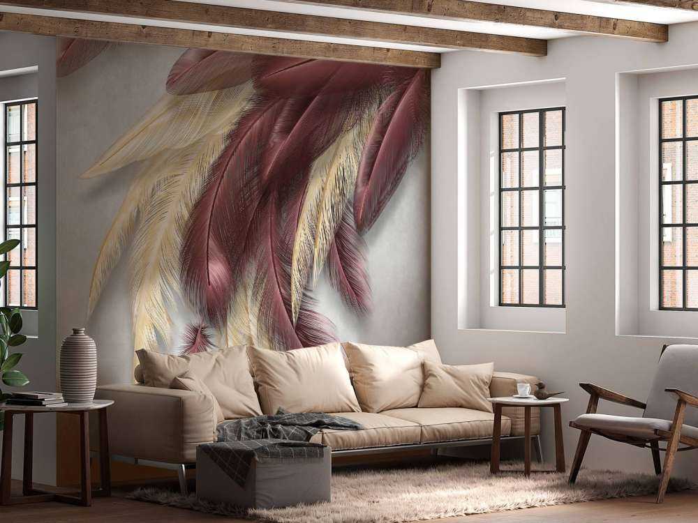 Plumes sur du béton