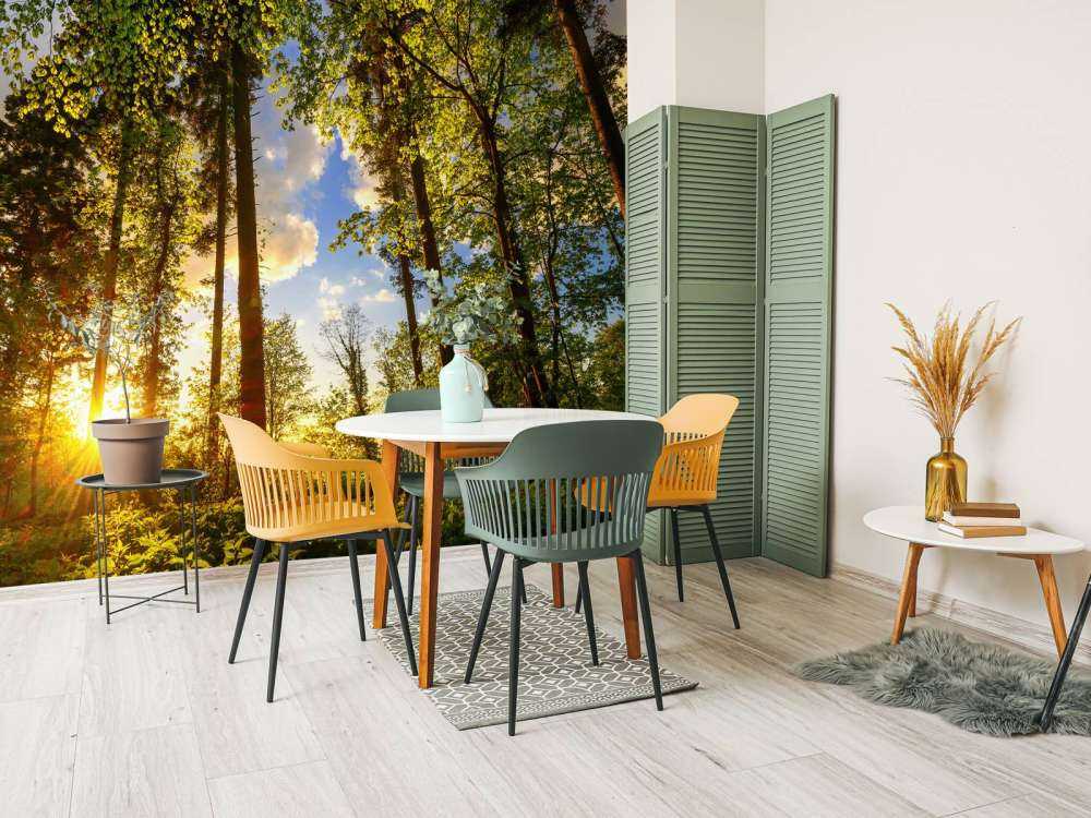 Coucher de soleil à travers les arbres