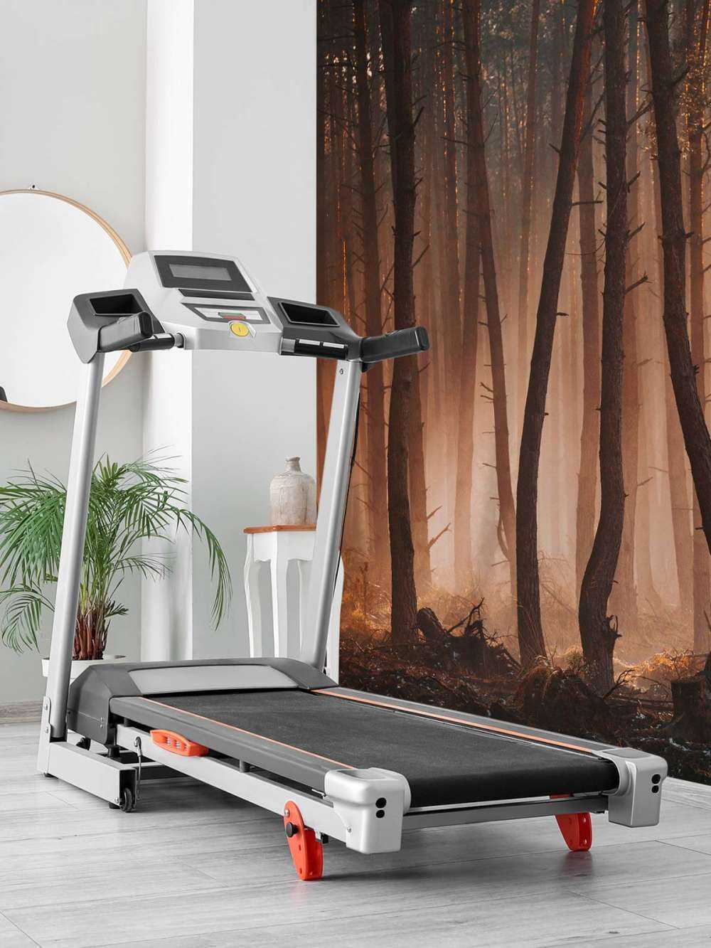 Transition des Saisons