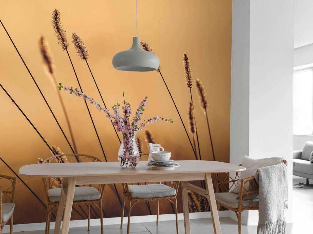 Herbe Murmurante dans le Soleil du Matin