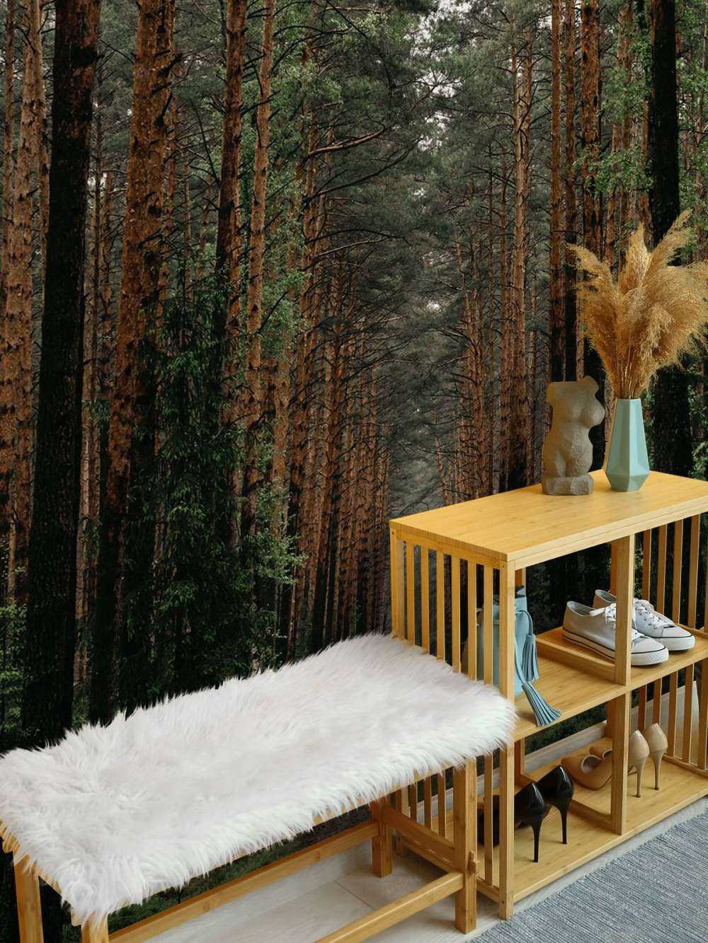 Symétrie de la Forêt