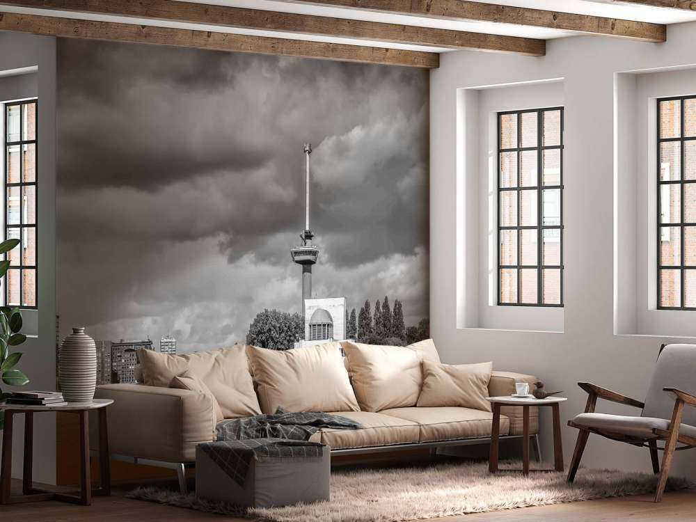 Euromast et Maas en monochrome