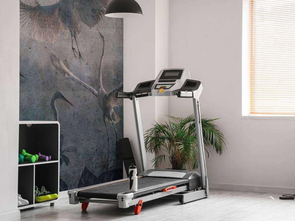 Hérons volants dans le bleu crépusculaire