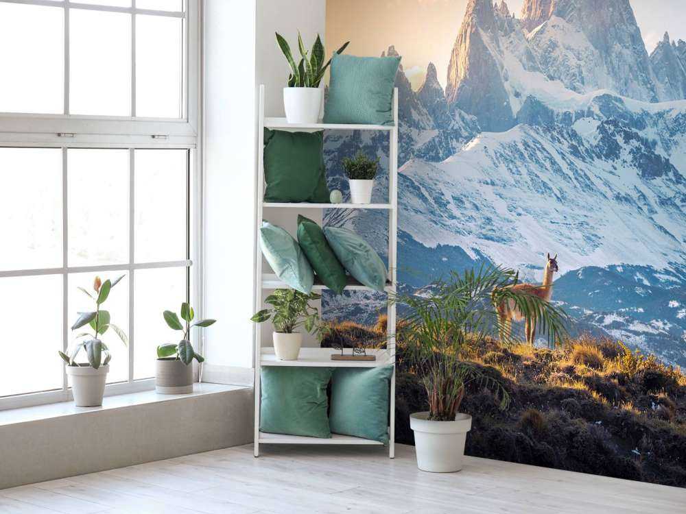 Guanaco près de sommets enneigés.