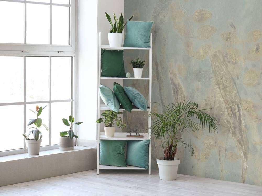 Schapenzuring et saule arbustif - vert sauge