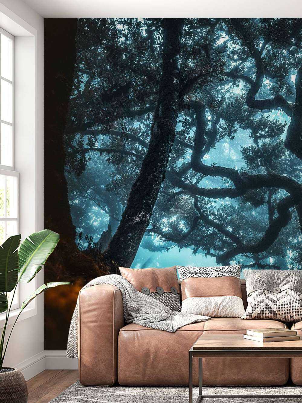 Silhouette mystique dans la forêt de brume.