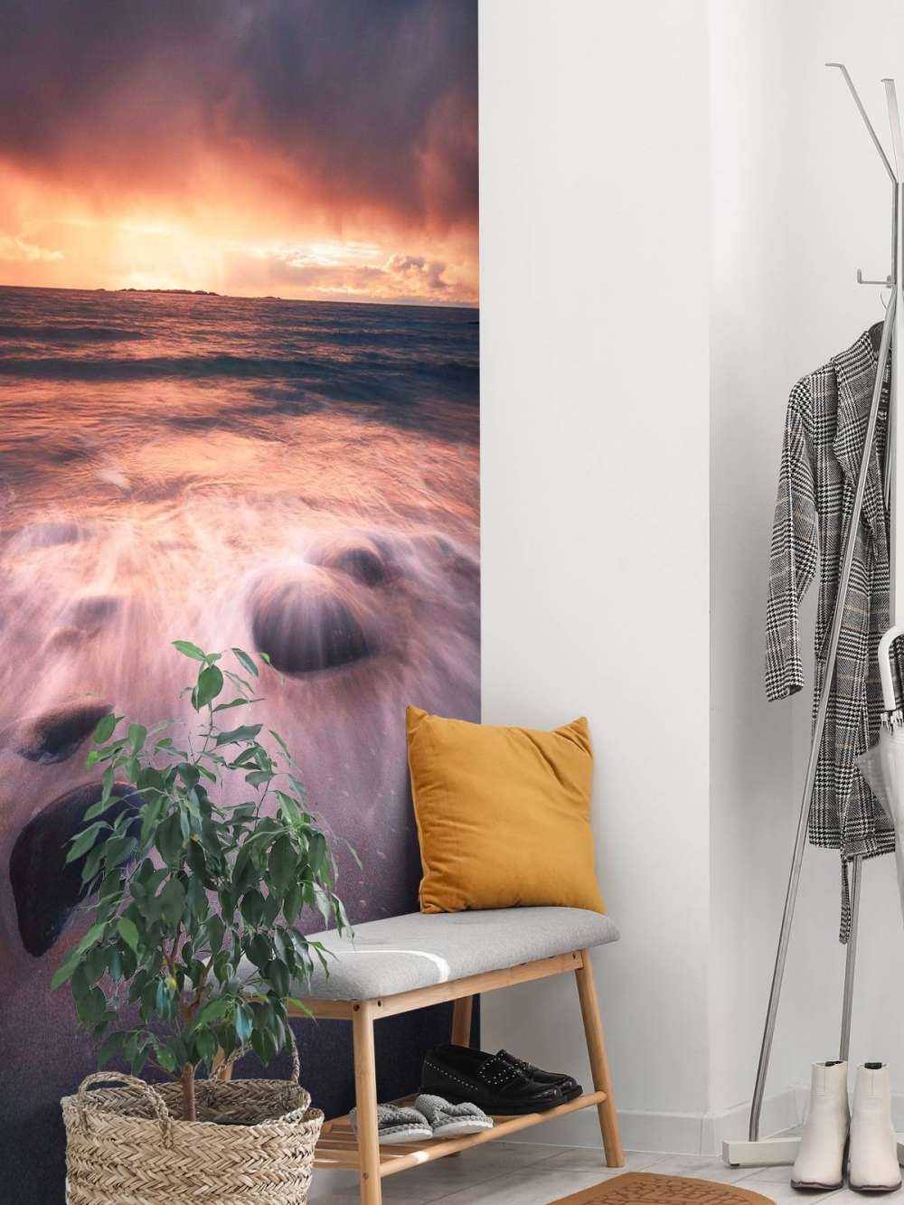 Lueur du soir sur la côte rocheuse