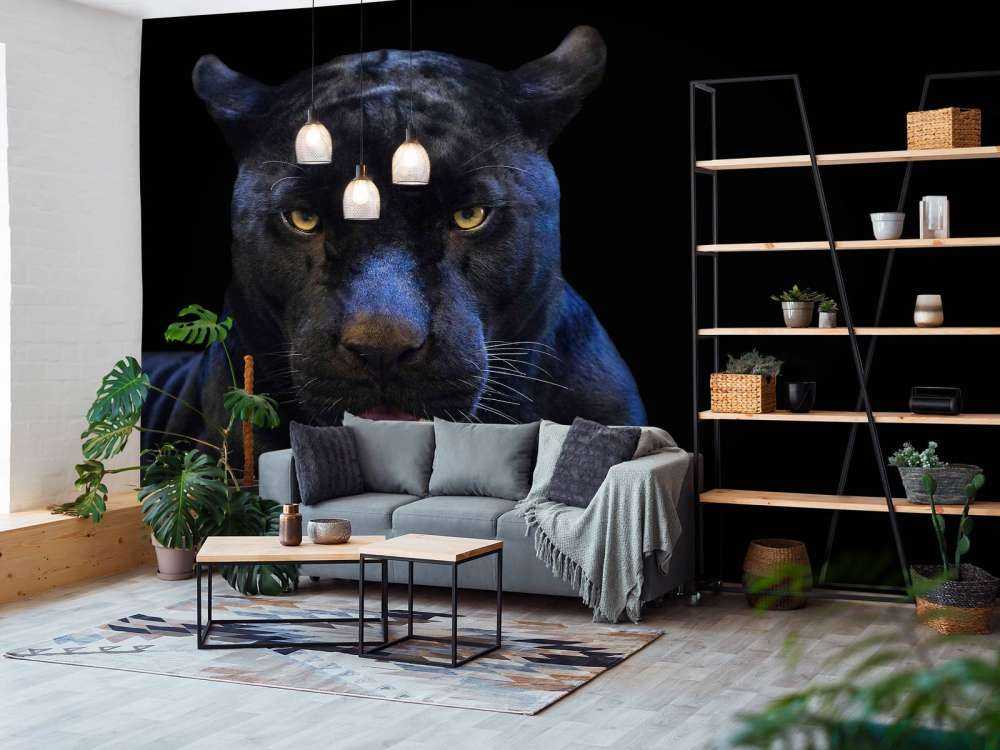 Gros plan sur une panthère