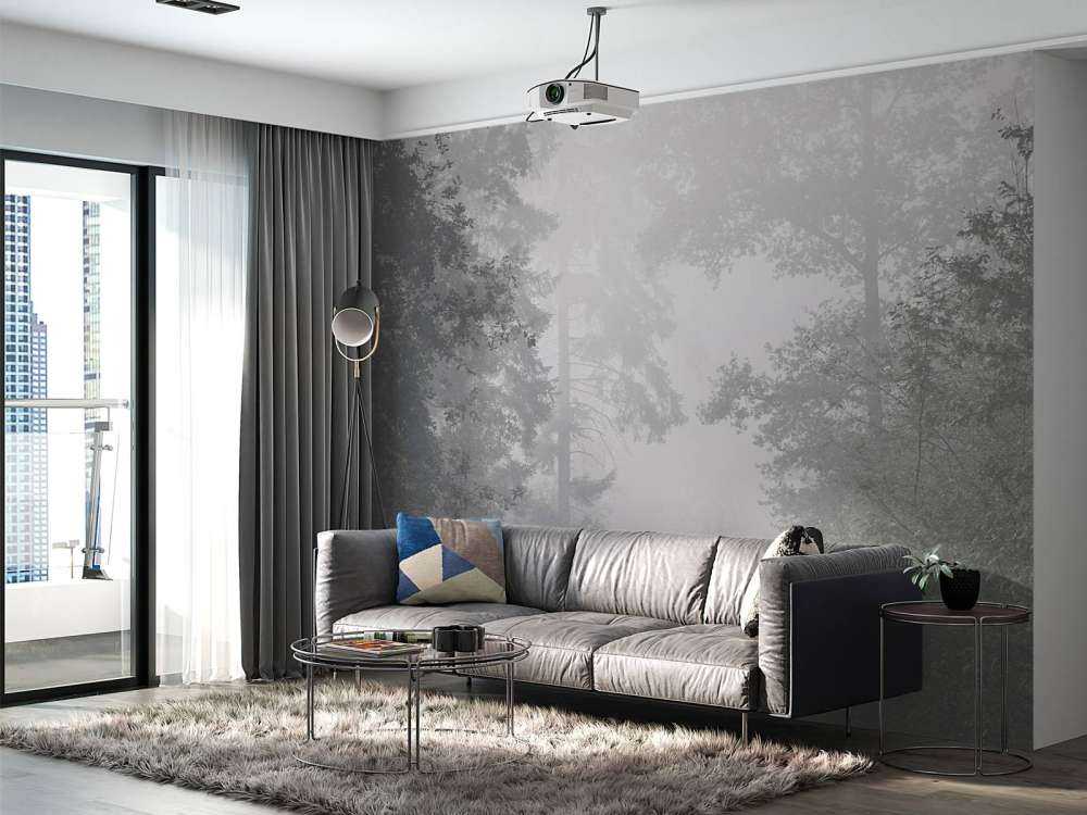 Route à travers la forêt brumeuse