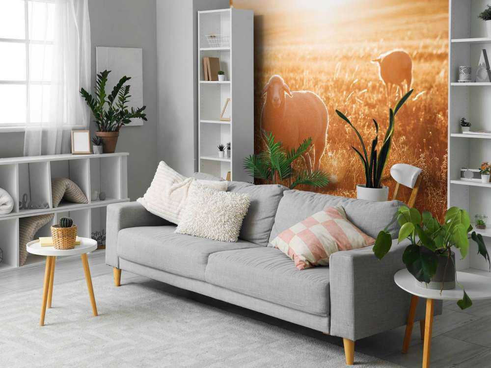 Moutons dans un beau pâturage