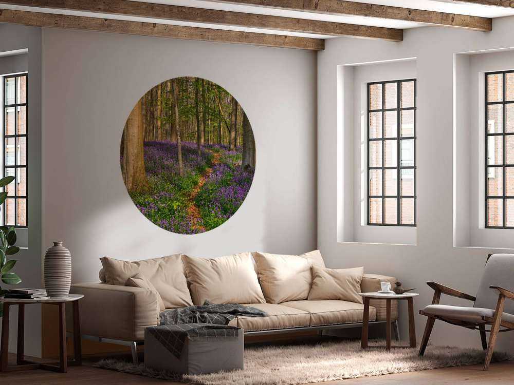 Chemin à travers une forêt avec des jacinthes