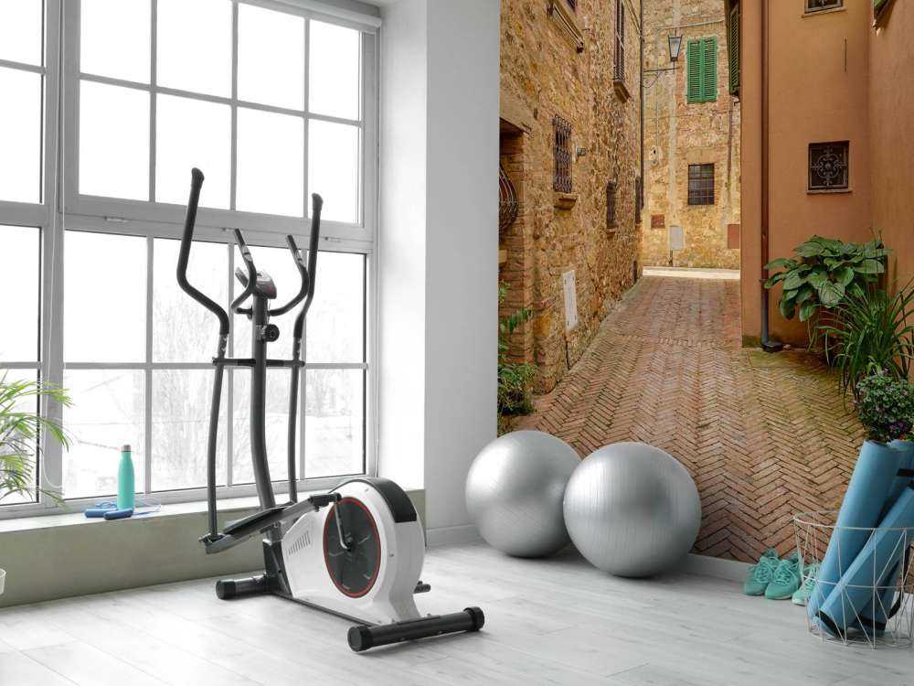 Rue avec des plantes et des fleurs