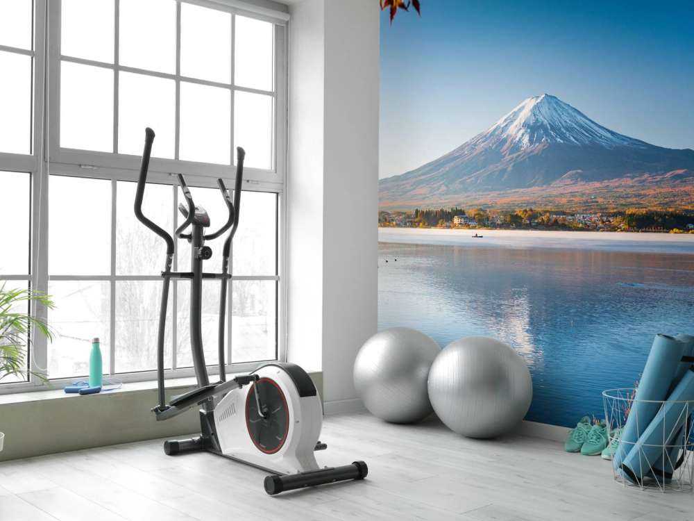 Le Mont Fuji dans l'après-midi