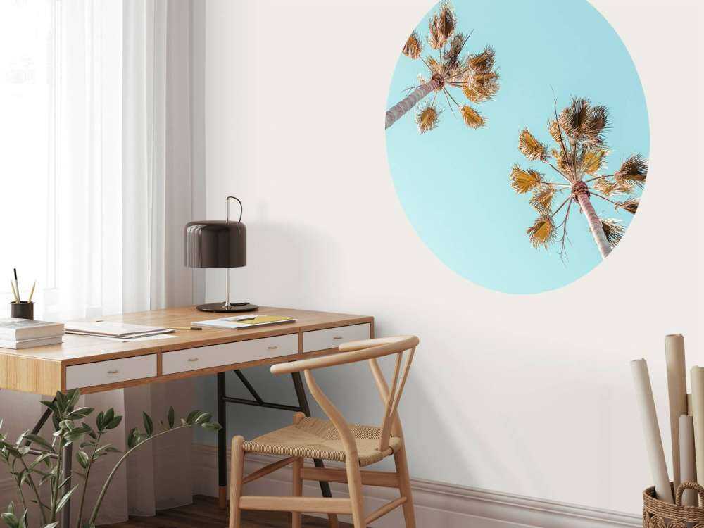 Palmiers avec ciel bleu