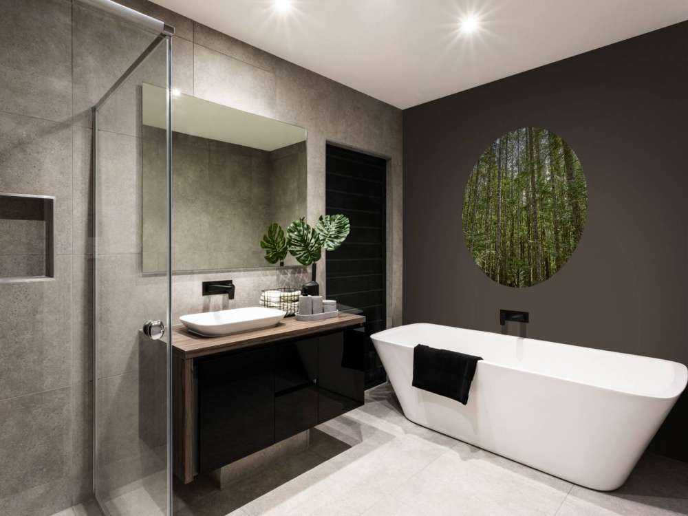 Arbres minces dans la forêt