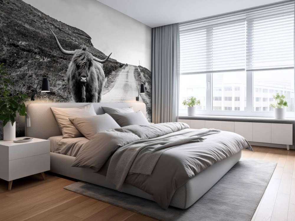 Le Highland écossais sur la route