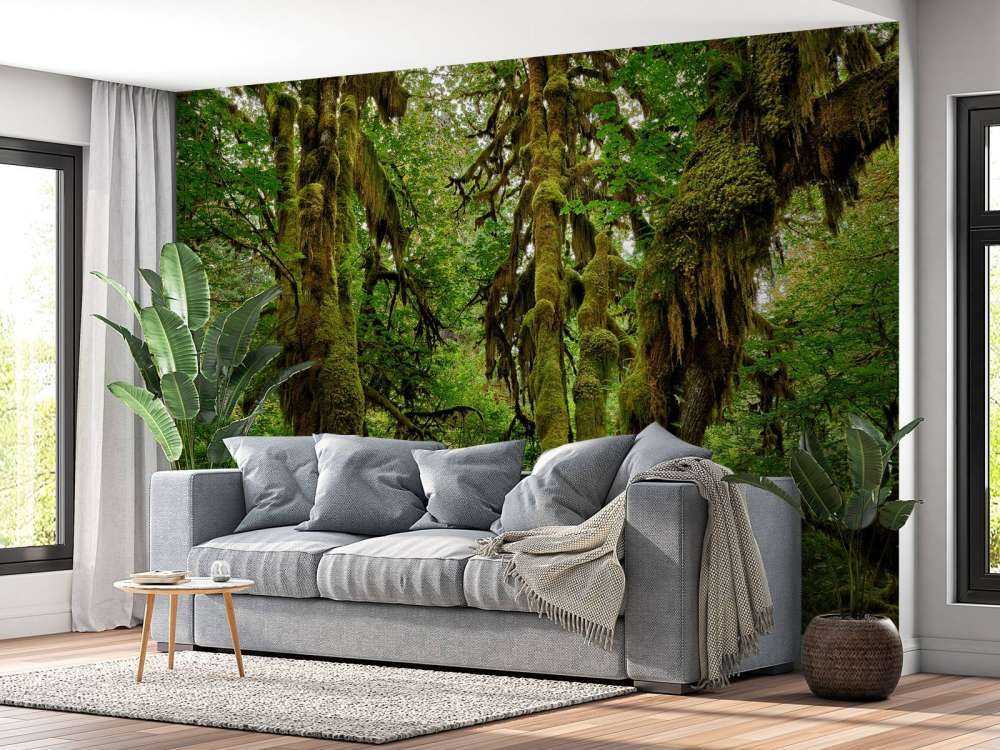 Ancienne forêt sauvage