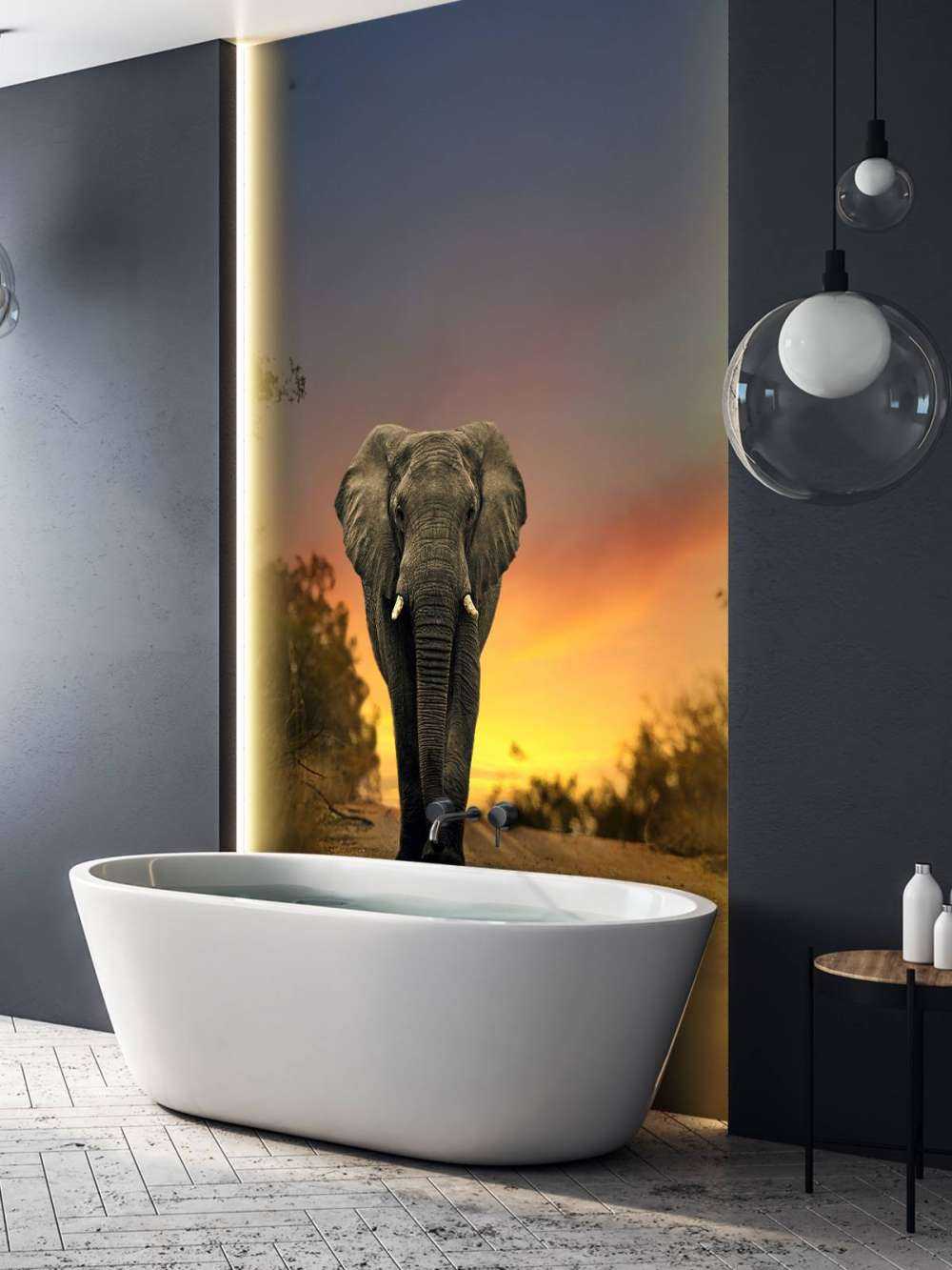 Eléphant au coucher du soleil