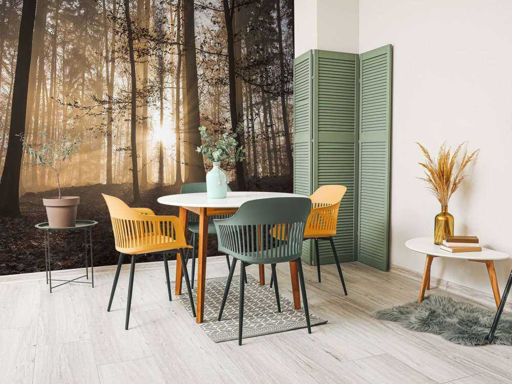 Soleil dans une forêt brumeuse