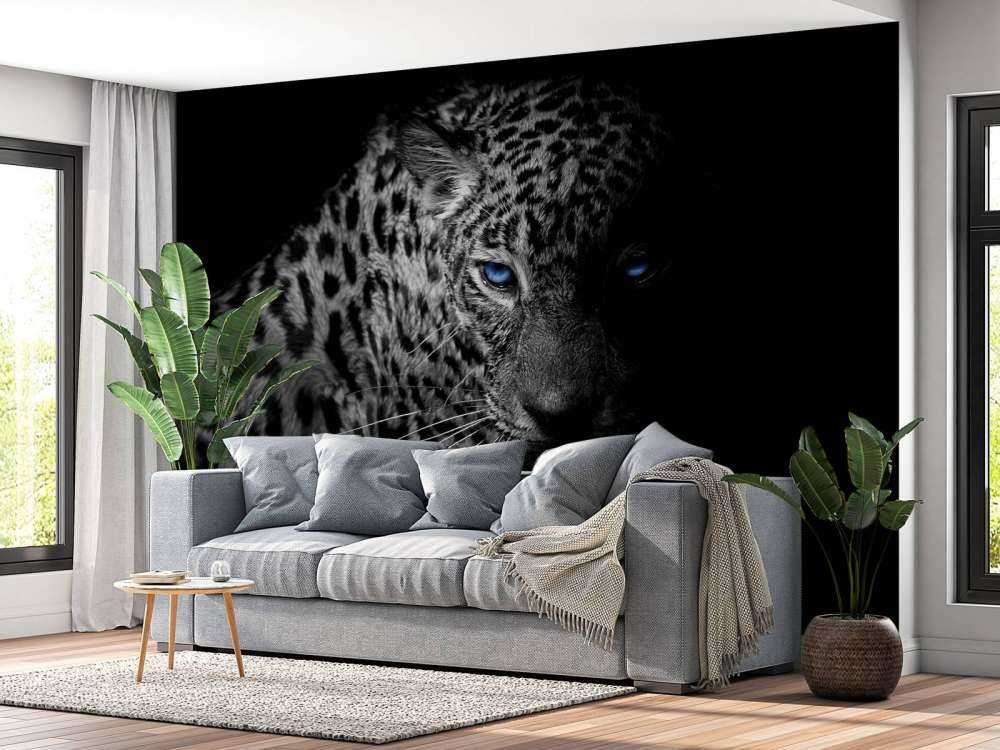 Léopard fond noir