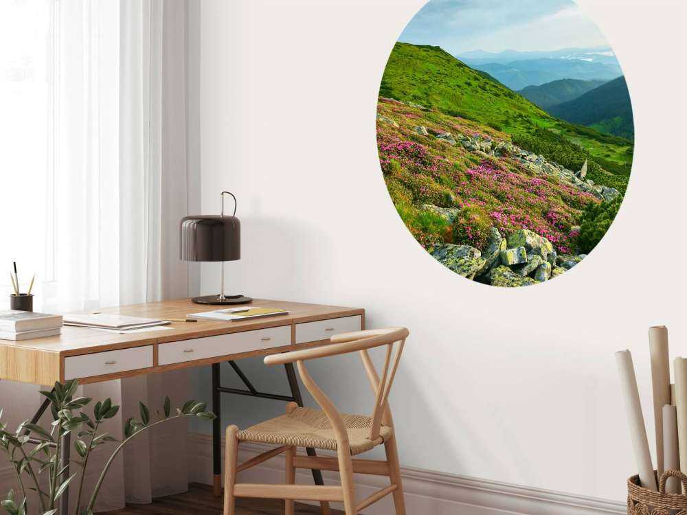 Les rhododendrons en montagne