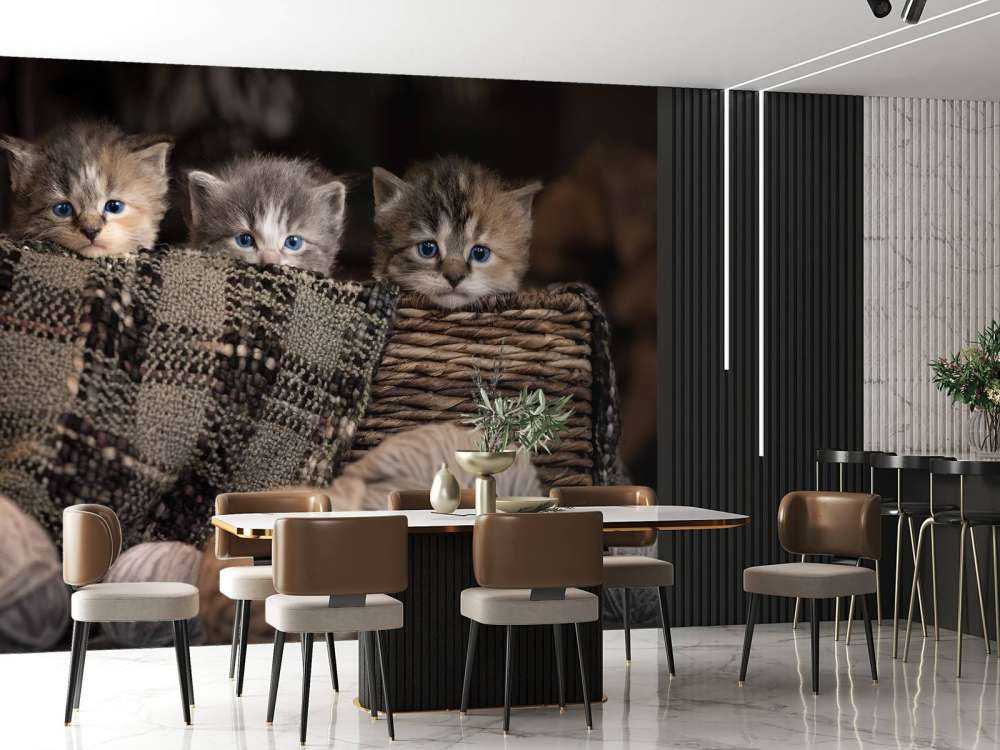 Trois chatons dans un panier