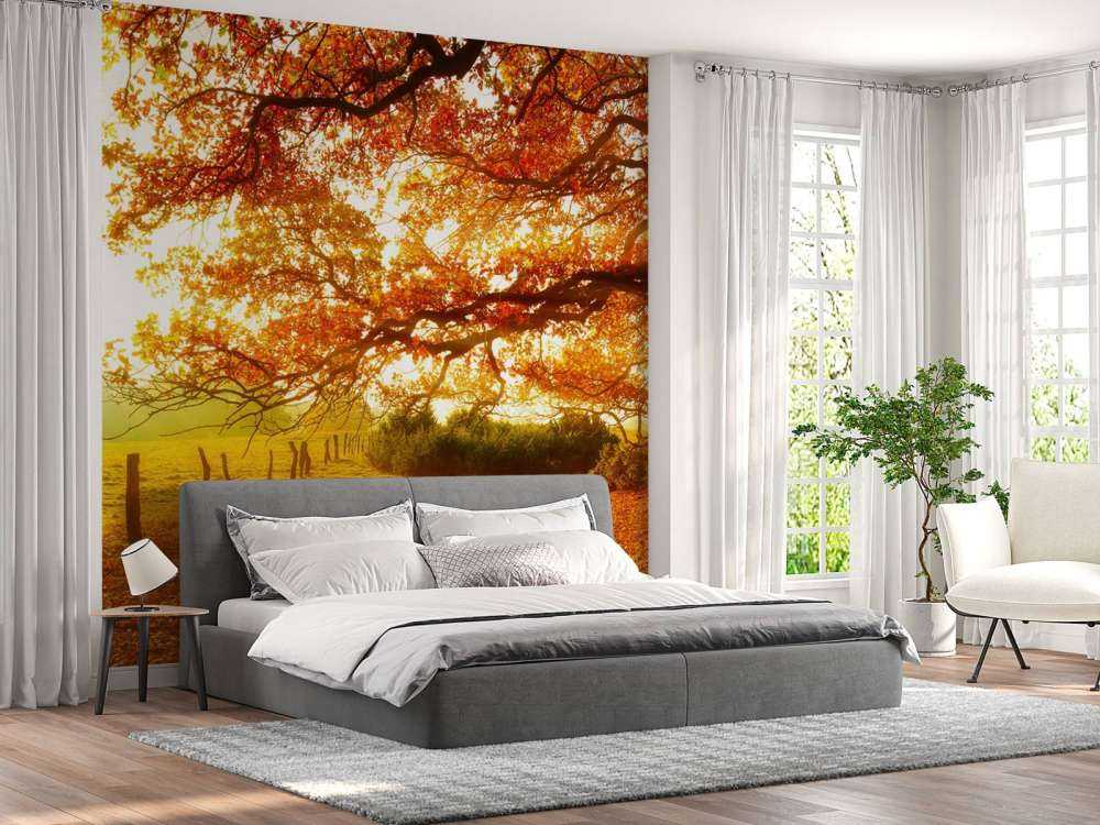 Paysage d'automne avec forêt et prairie