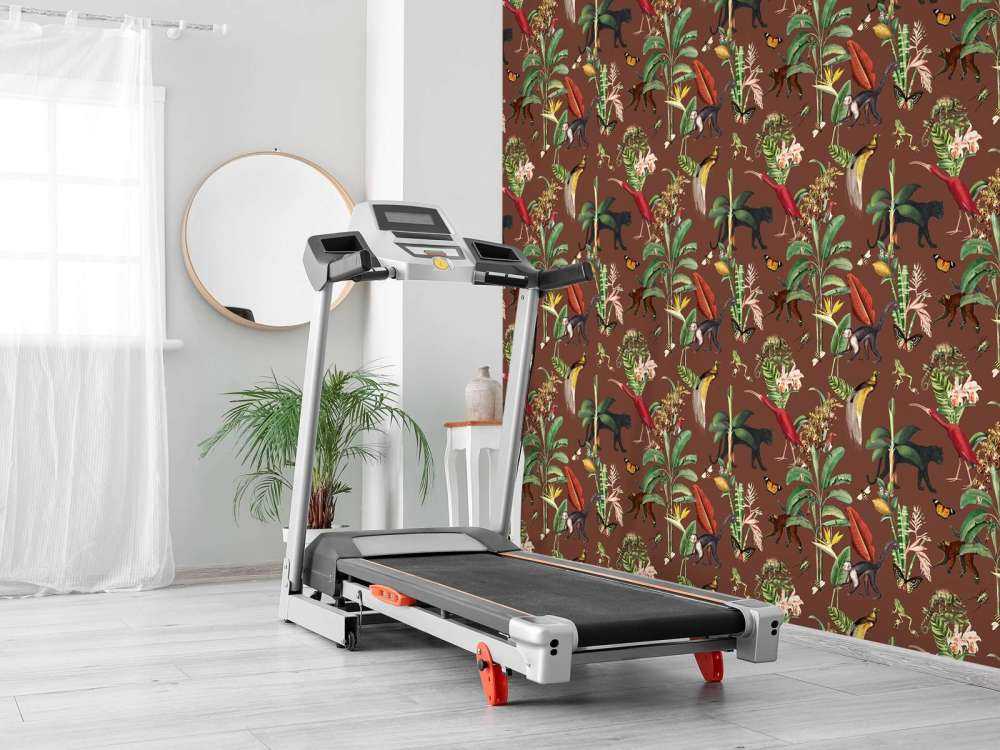 Royaume Animalia Terre Sombre