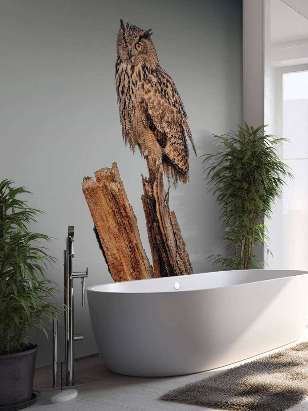 Hibou grand-duc