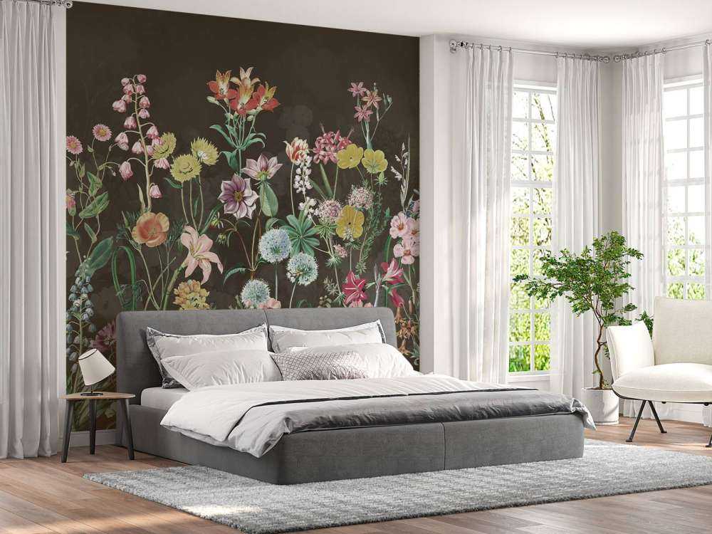 Primula 8