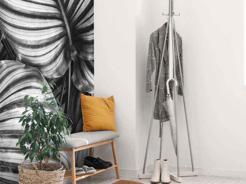 Plante à feuilles rayées