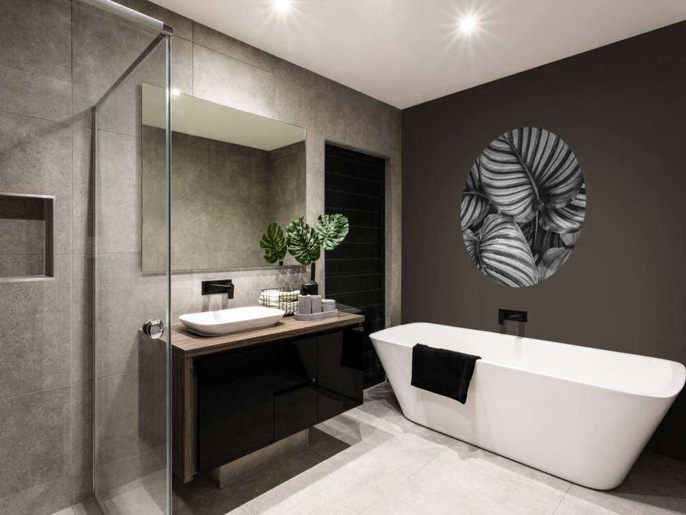 Plante à feuilles rayées