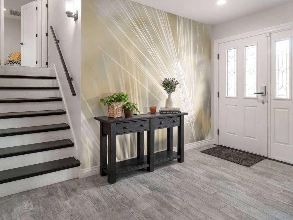 Gros plan sur le blé