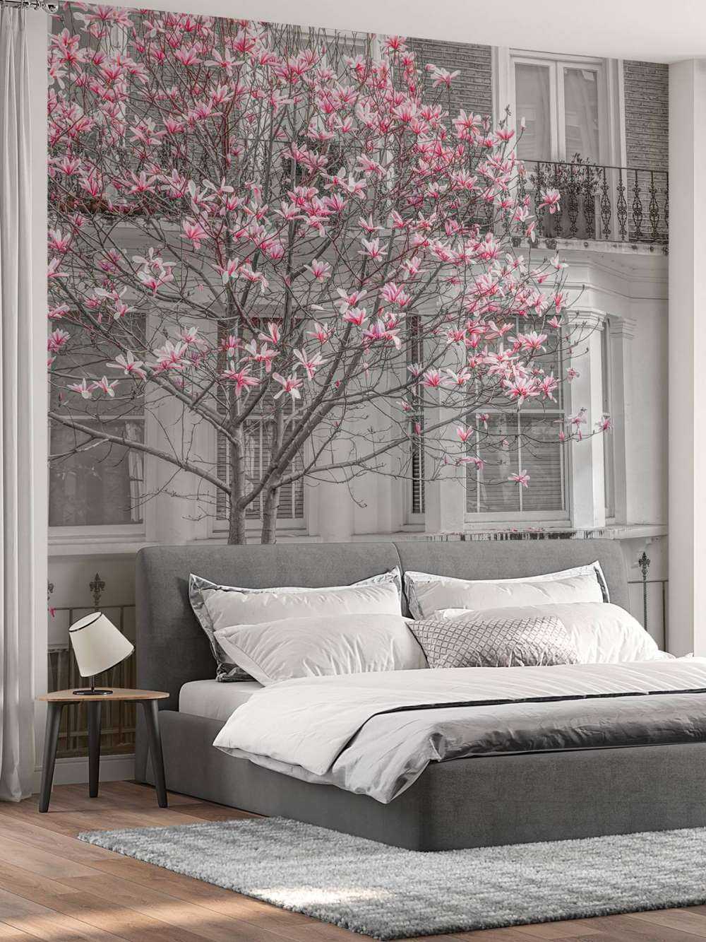 Magnolia en fleurs