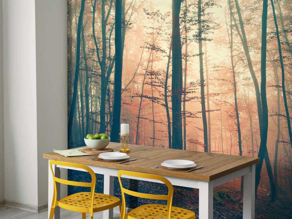 Forêt aux couleurs vintage