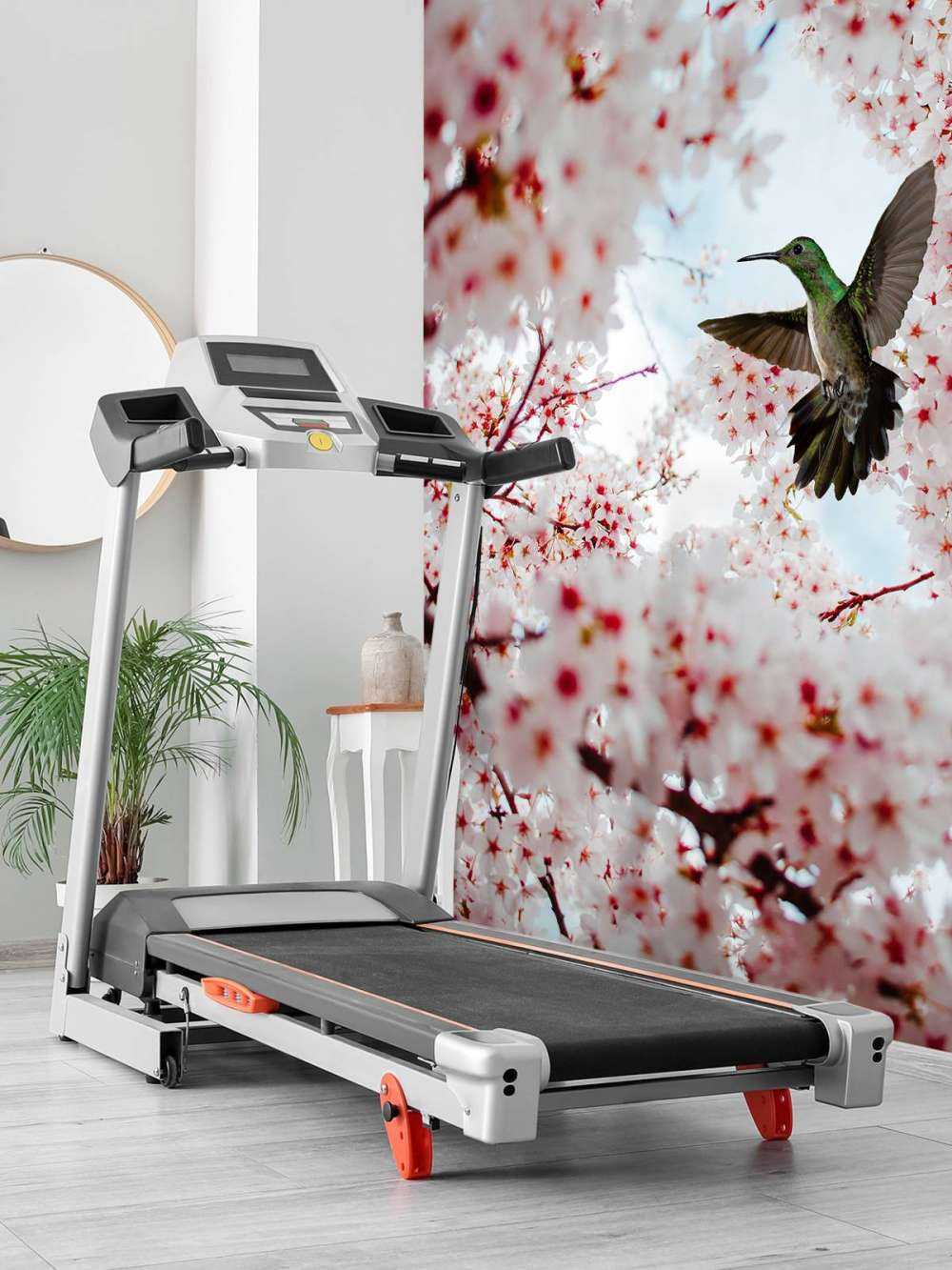 Colibri entre les fleurs