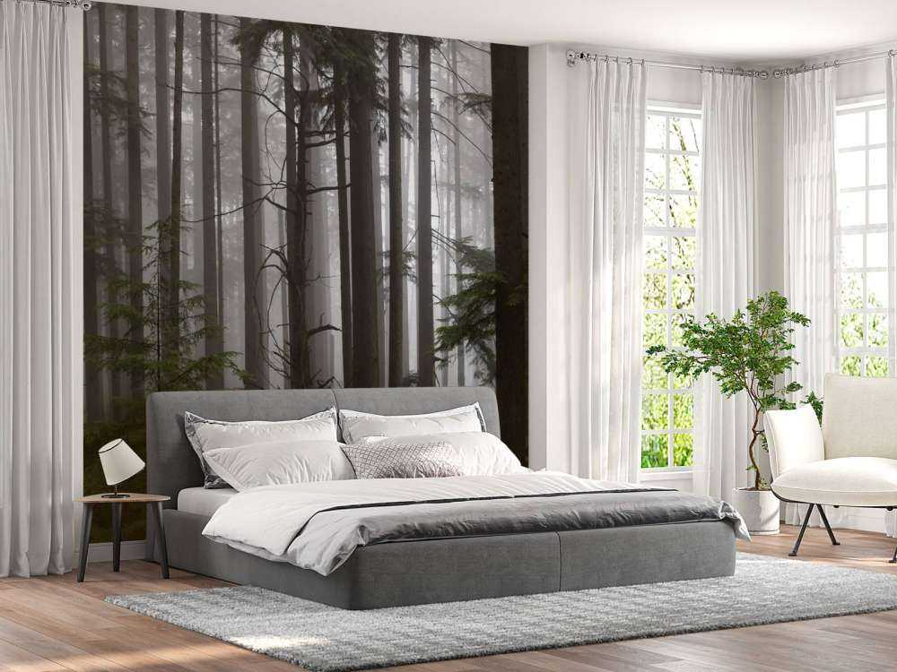 Forêt par temps de brouillard