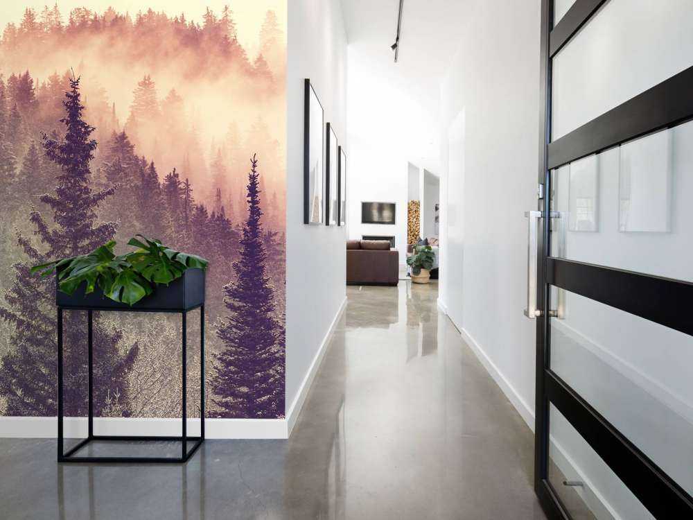 Brouillard dans la forêt