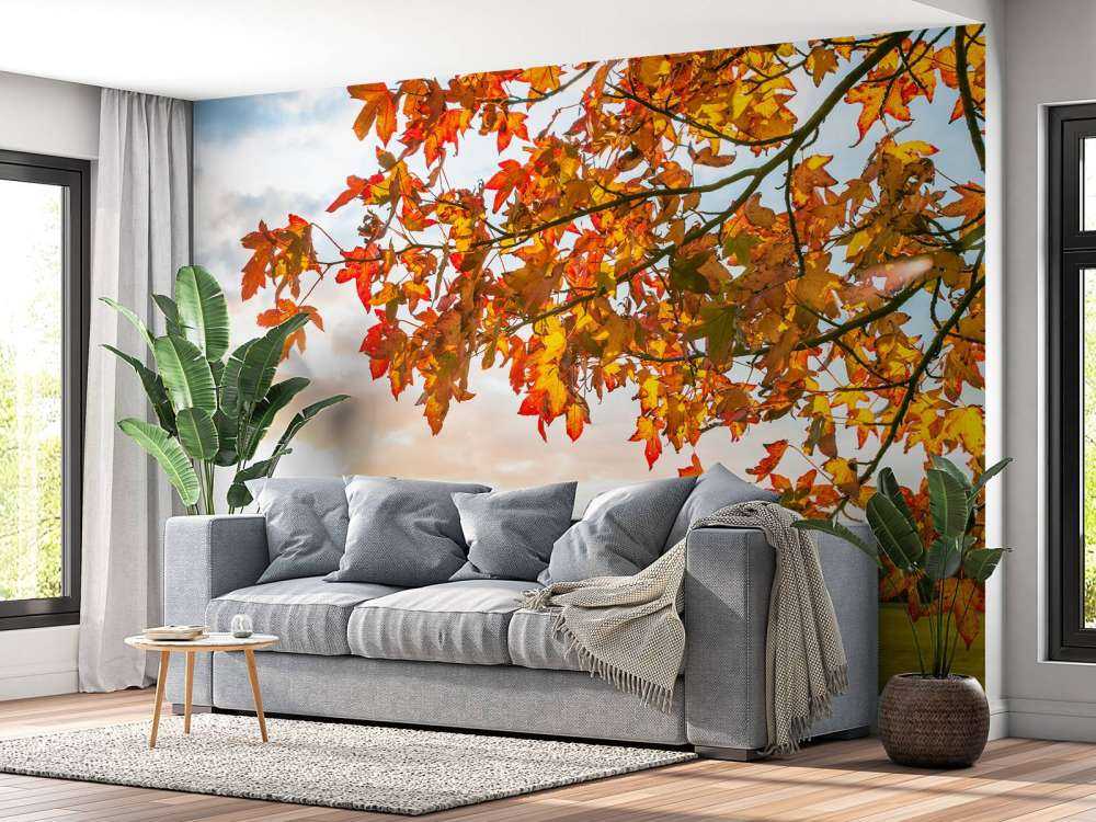 Arbre d'automne au coucher du soleil